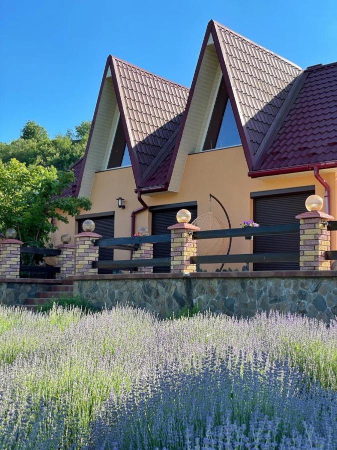 Панівецька Садиба Зубрівка Екстер'єр фото